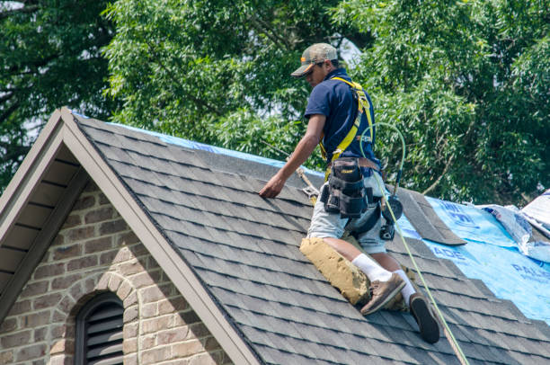 Best Roof Maintenance Services  in St Francis, WI